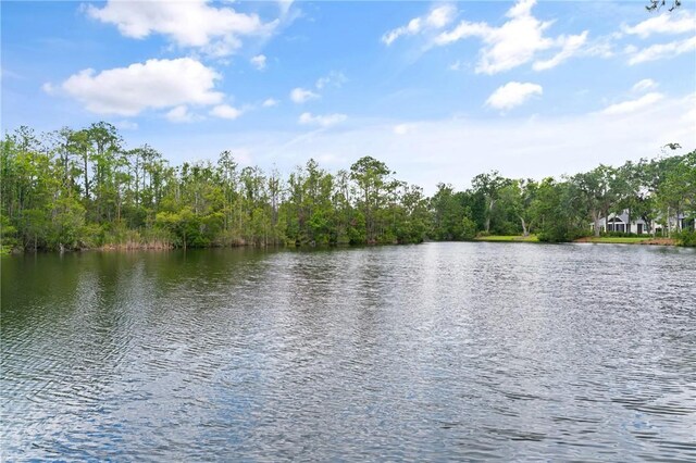 337 Lake Stillwater Dr, Saint Simons Island, GA 31522 - photo 47
