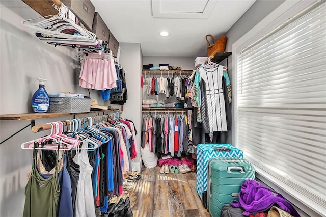 spacious closet with attic access and wood finished floors