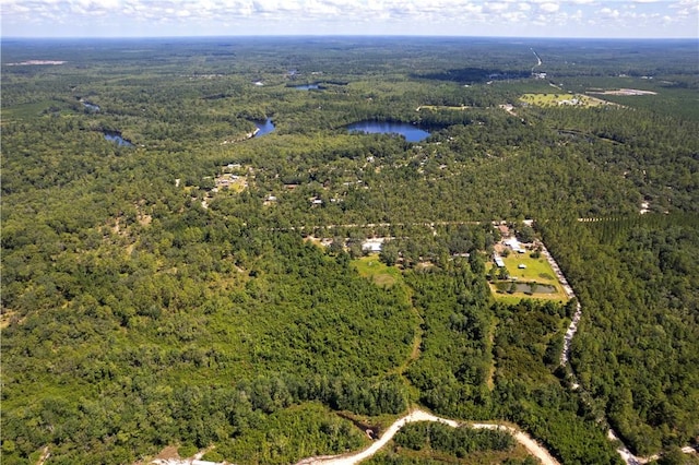 B066006 Old Koa Rd, Waynesville, GA 31566
