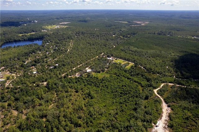 B066006 Old Koa Rd, Waynesville, GA 31566