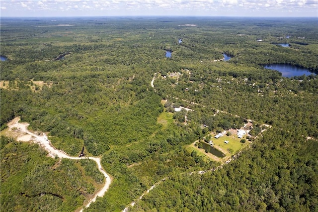B066006 Old Koa Rd, Waynesville, GA 31566