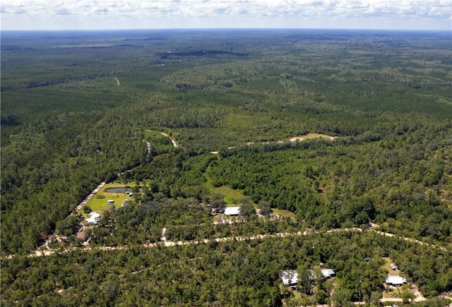 B066006 Old Koa Rd, Waynesville, GA 31566