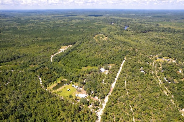 B066006 Old Koa Rd, Waynesville, GA 31566