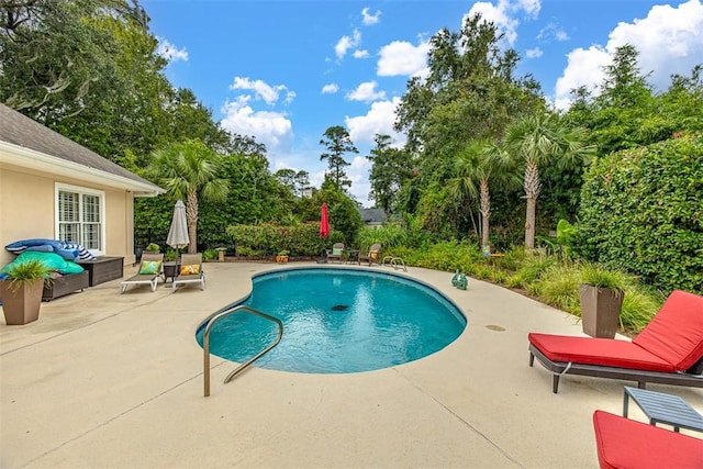 view of pool featuring a patio