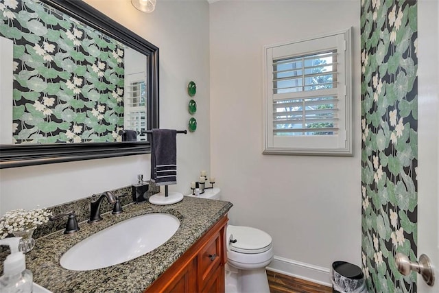 bathroom featuring toilet, vanity, and hardwood / wood-style flooring