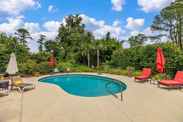 view of pool featuring a patio area