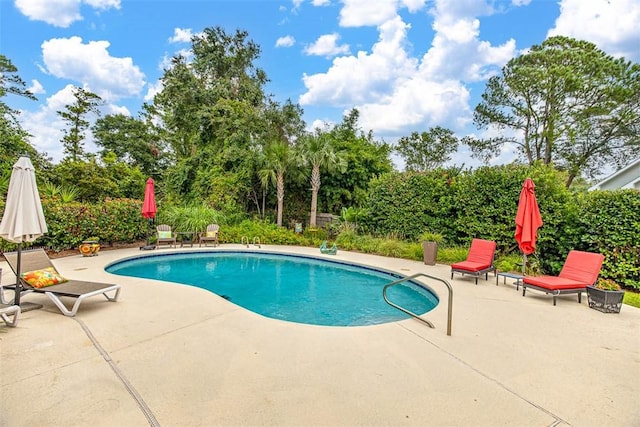 view of pool with a patio area