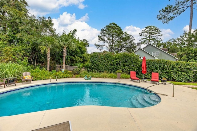 view of pool featuring a patio