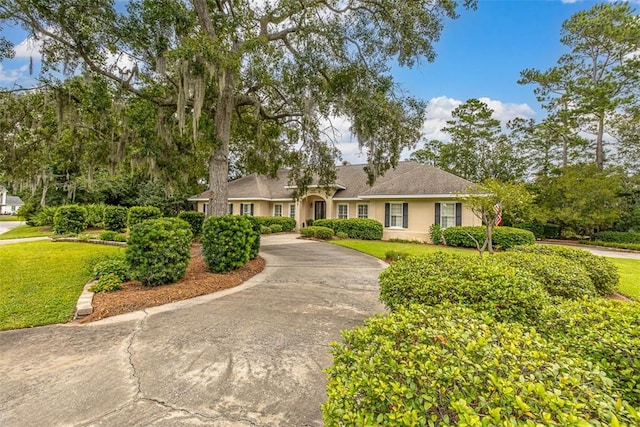 ranch-style home with a front lawn