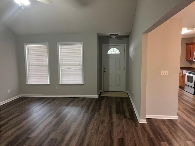 entryway featuring lofted ceiling and dark hardwood / wood-style floors