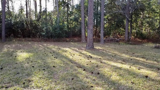 1075 Wildwood Rd, Waycross, GA 31501 - photo 57