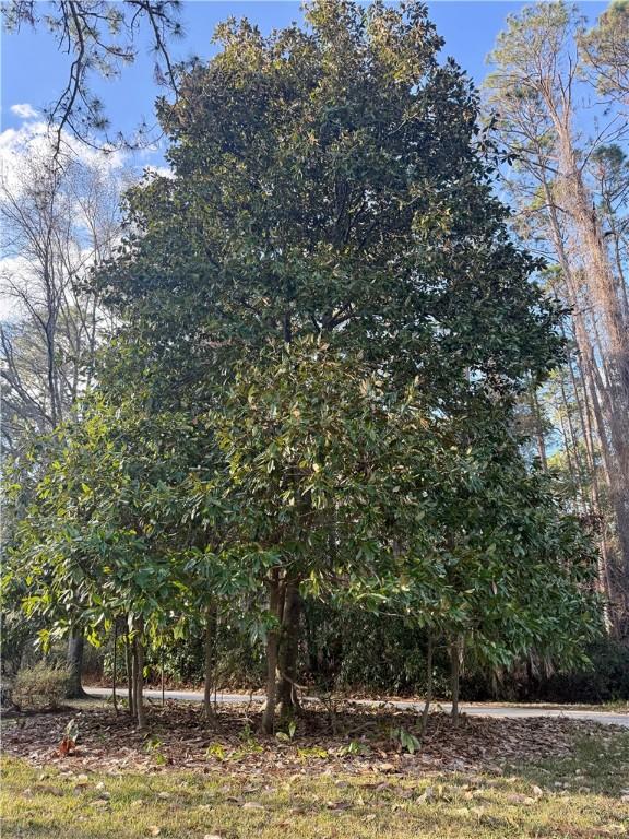 1075 Wildwood Rd, Waycross, GA 31501 - photo 55