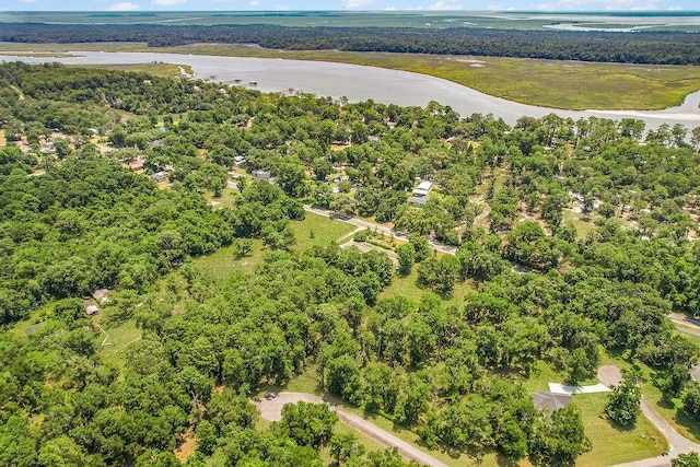 2.45AC Dallas Bluff Rd NE, Townsend, GA 31331