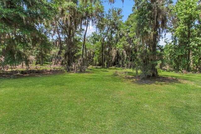 2.45AC Dallas Bluff Rd NE, Townsend, GA 31331