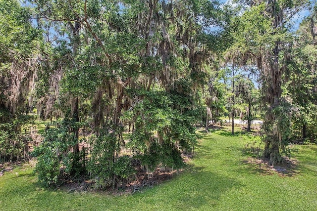 2.45AC Dallas Bluff Rd NE, Townsend, GA 31331