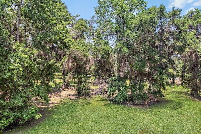 2.45AC Dallas Bluff Rd NE, Townsend, GA 31331