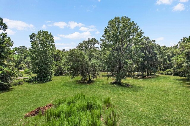 2.45AC Dallas Bluff Rd NE, Townsend, GA 31331