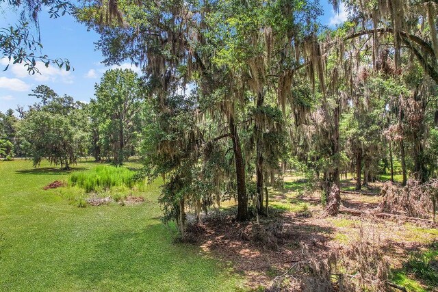 2.45AC Dallas Bluff Rd NE, Townsend, GA 31331