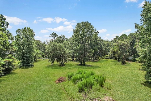 2.45AC Dallas Bluff Rd NE, Townsend, GA 31331