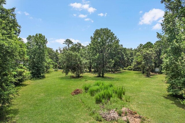 2.45AC Dallas Bluff Rd NE, Townsend, GA 31331