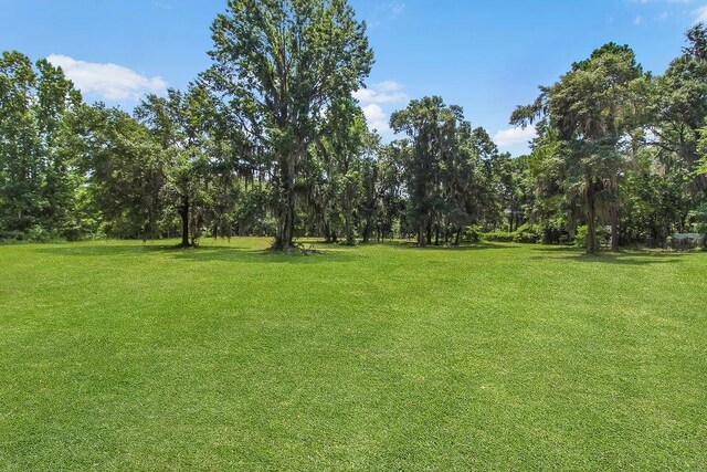 2.45AC Dallas Bluff Rd NE, Townsend, GA 31331