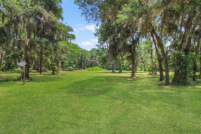 2.45AC Dallas Bluff Rd NE, Townsend, GA 31331