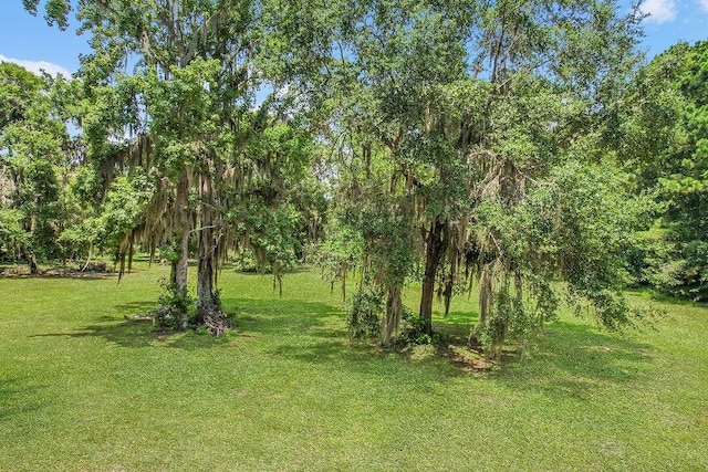 2.45AC Dallas Bluff Rd NE, Townsend, GA 31331