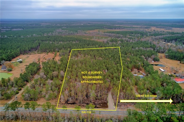 GAHWY110 Ga Highway 110, Waverly GA, 31565 land for sale