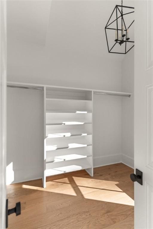 spacious closet with hardwood / wood-style floors