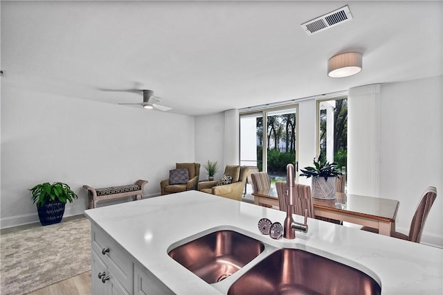 kitchen featuring ceiling fan, sink, and light hardwood / wood-style floors