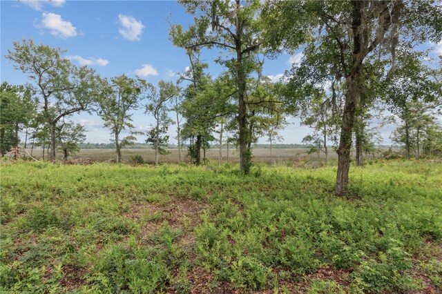152 Little Satilla Trl, Waverly, GA 31565 - photo 52