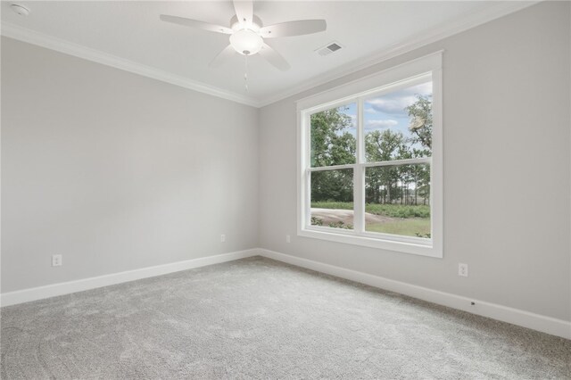 152 Little Satilla Trl, Waverly, GA 31565 - photo 30