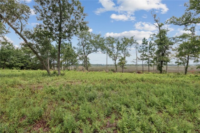 152 Little Satilla Trl, Waverly, GA 31565 - photo 51