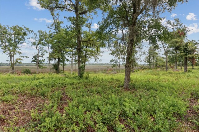 152 Little Satilla Trl, Waverly, GA 31565 - photo 53