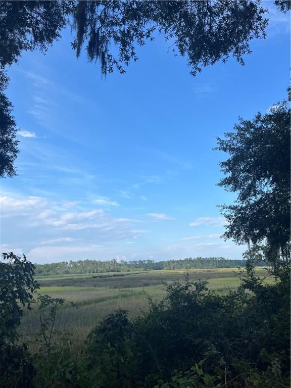 view of nature with a rural view