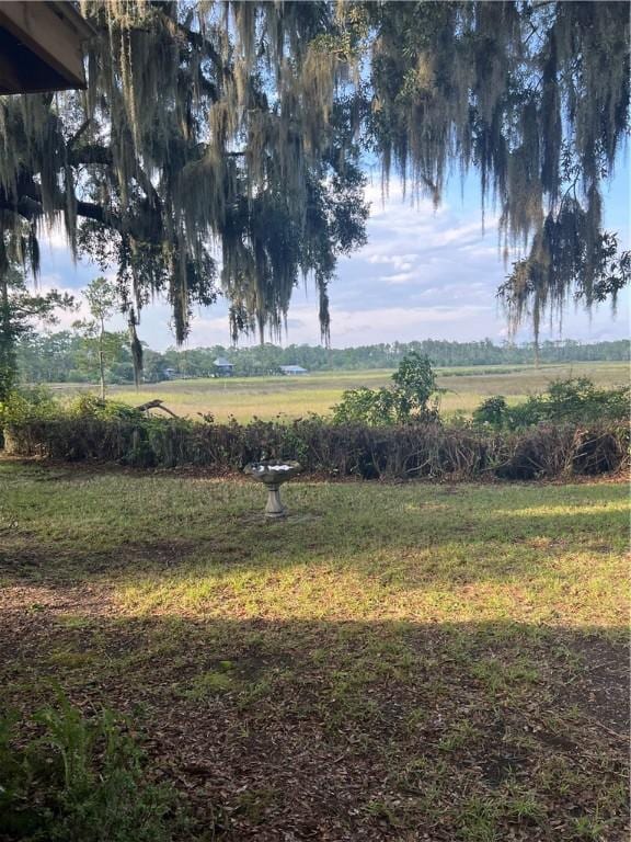 view of yard with a rural view