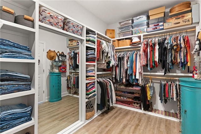 98 Bartram Trl, Brunswick, GA 31523 - spacious closet with wood finished floors