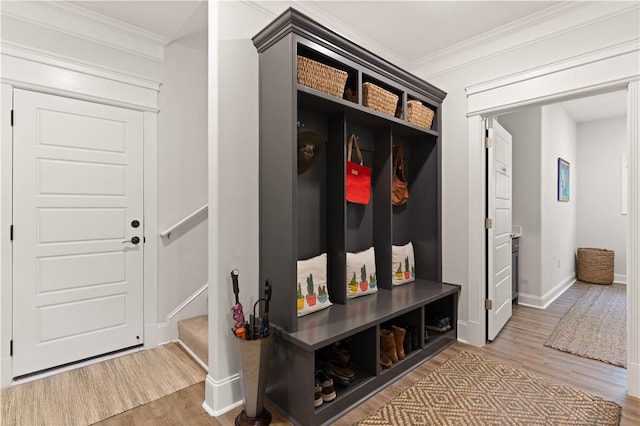 98 Bartram Trl, Brunswick, GA 31523 - mudroom featuring wood finished floors, crown molding, and baseboards