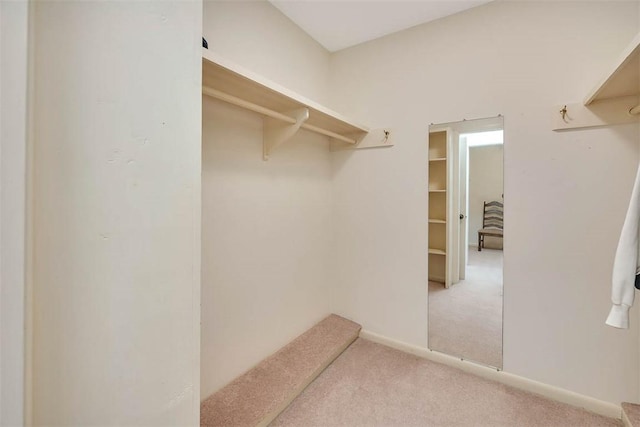 spacious closet with light colored carpet