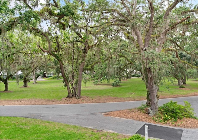 553 Park Ave, Saint Simons Island, GA 31522 - surrounding community featuring a lawn