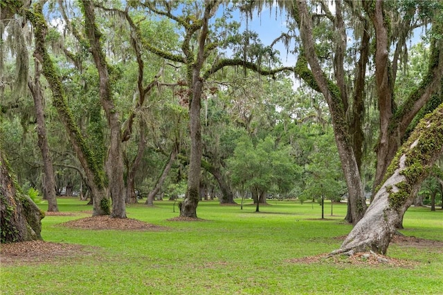 553 Park Ave, Saint Simons Island, GA 31522 - view of green lawn
