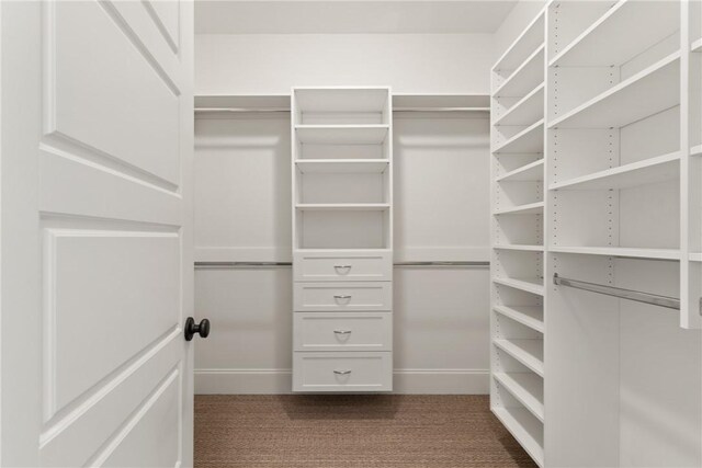 553 Park Ave, Saint Simons Island, GA 31522 - walk in closet with dark colored carpet