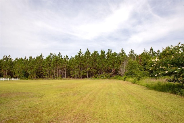 4901 Stanfield Rd, Patterson, GA 31557 - view of grassy yard