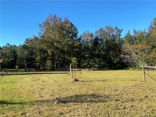 ShellmanBluff(LotA) Ne Shellman Bluff Road, Townsend GA, 31331 land for sale