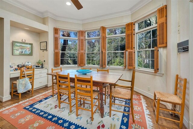 dining space with ceiling fan, light hardwood / wood-style floors, and ornamental molding