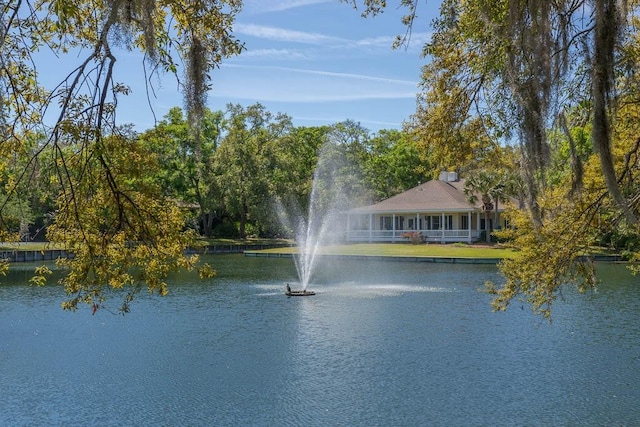 view of water feature