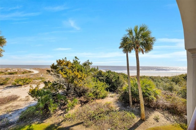 view of nature with a water view and a view of the beach