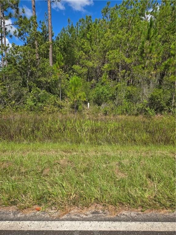 0 Swamp Rd, Waycross GA, 31503 land for sale