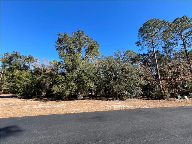 Listing photo 2 for LOT13 Coopers Point Dr NE, Townsend GA 31331