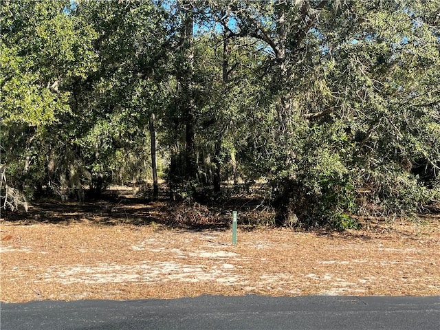 Listing photo 3 for LOT13 Coopers Point Dr NE, Townsend GA 31331